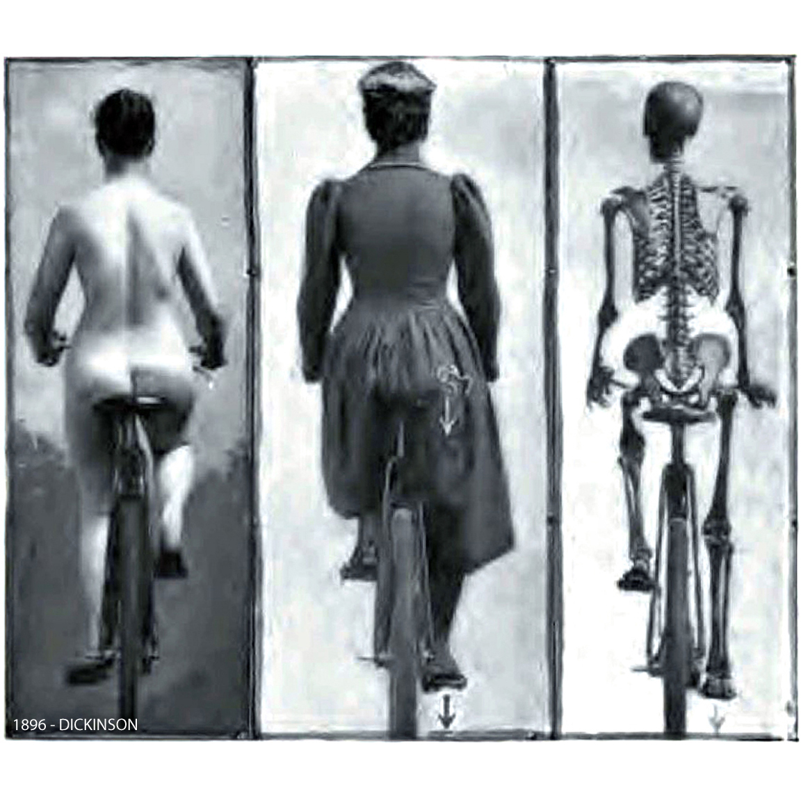 1896-DICKINSON-Correct Posture 
               while Bicycling