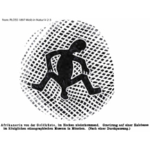 Graphic description birth Gold Coast Africa