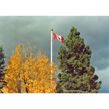 Canadian Flag