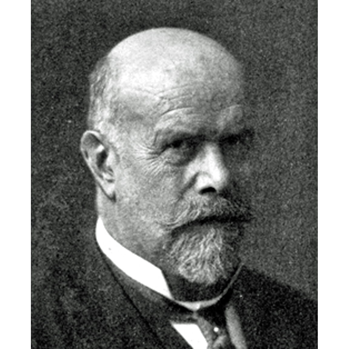 MARTIN-August(1847-1934)