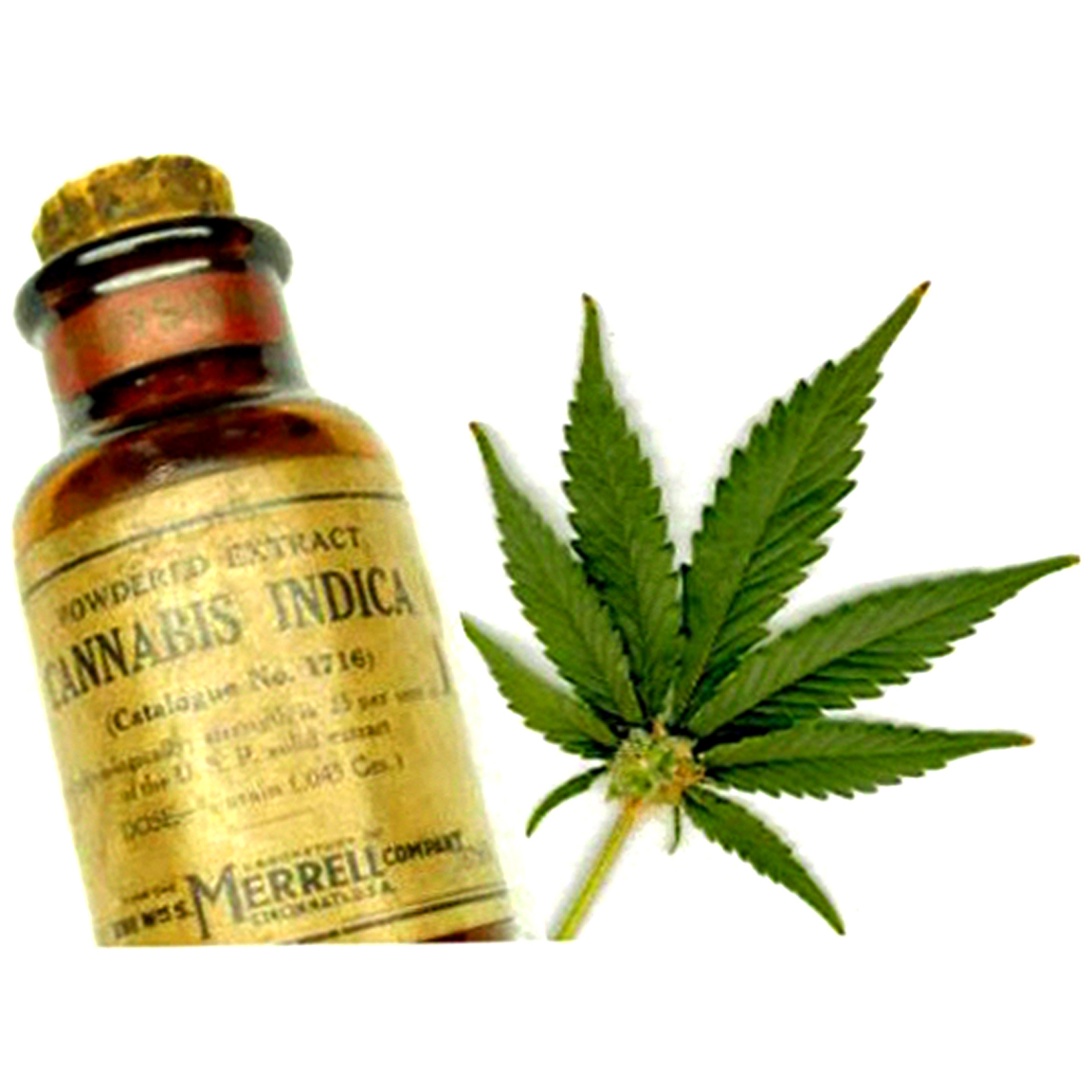 Early-1900s vial of commercial cannabis powder