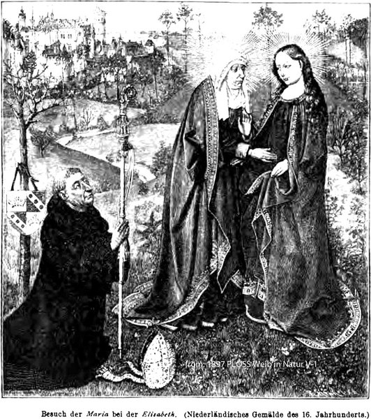 Biblical Medicine