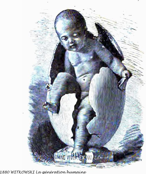 1880-WITKOWSKI