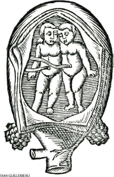 1644-GUILLEMEAU