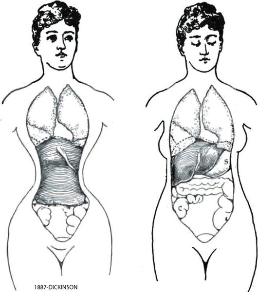 link to fashion and health